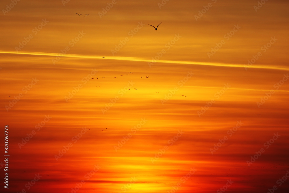 Scenic sunset over the Black Sea. Evening sky with seagulls