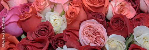 Background of bouquets of flowers. Roses. Design. Close up.