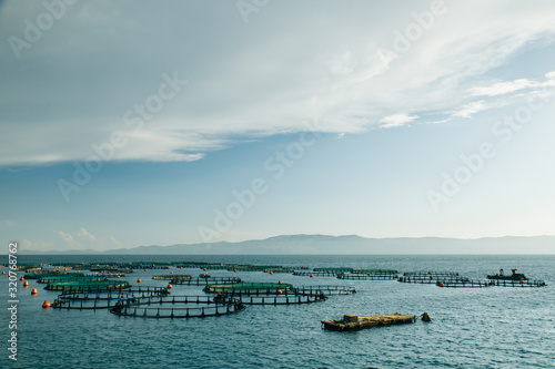fish and shellfish farms on the high seas © Ksenia