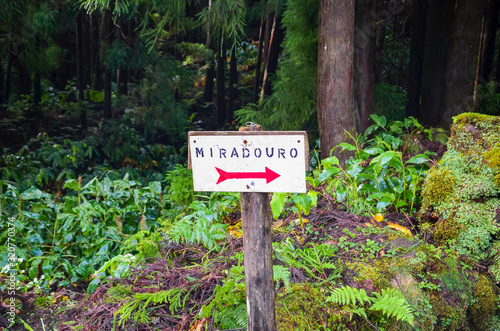 Tourist sign with a red arrow on the white field giving direction to a viewpoint. TRANSLATION: Miradouro - viewpoint in Portuguese. Information sign for orientation. Blurred forest in the background