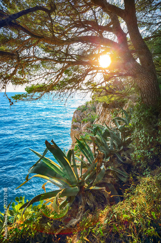Fototapeta Naklejka Na Ścianę i Meble -  Beautiful sunset above Adriatic sea and coastline in Makarska.