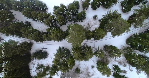 Railway truck in spruce forest at winter, no train detected, aerial view from top