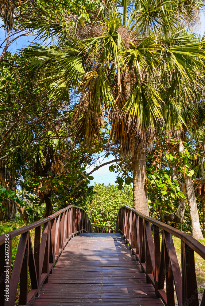 Wooden bridge to the Atlantic ocean through the forest, Cuba