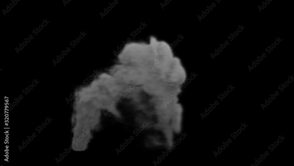thick clouds of smoke rising from the ground and going to the right because of wind. Alpha matte animation thick clouds of smoke rising from the ground and going to the right because of wind. Alpha matte animation
