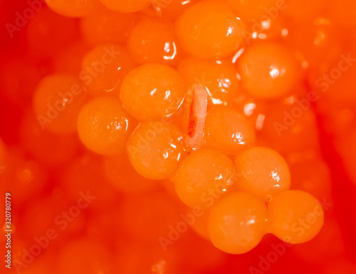 Red caviar in a shrimp as a background