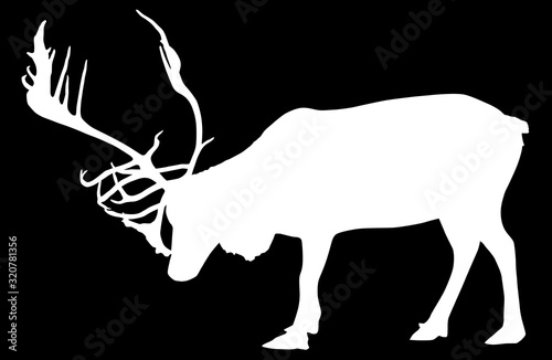 single reindeer outline isolated on black