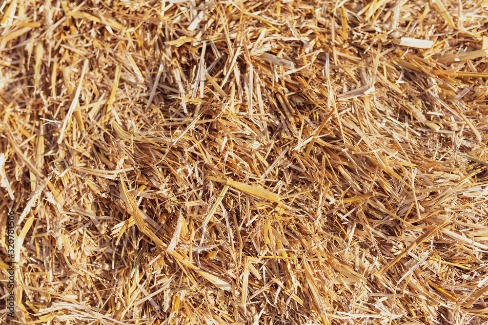 Stack of dry hay as an abstract background Stack of dry hay as an abstract background