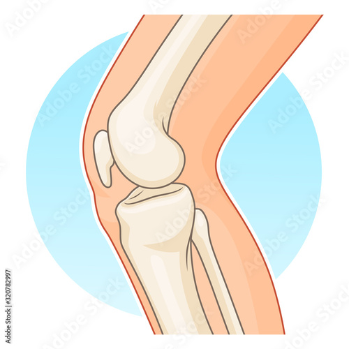 Knee-joint side view