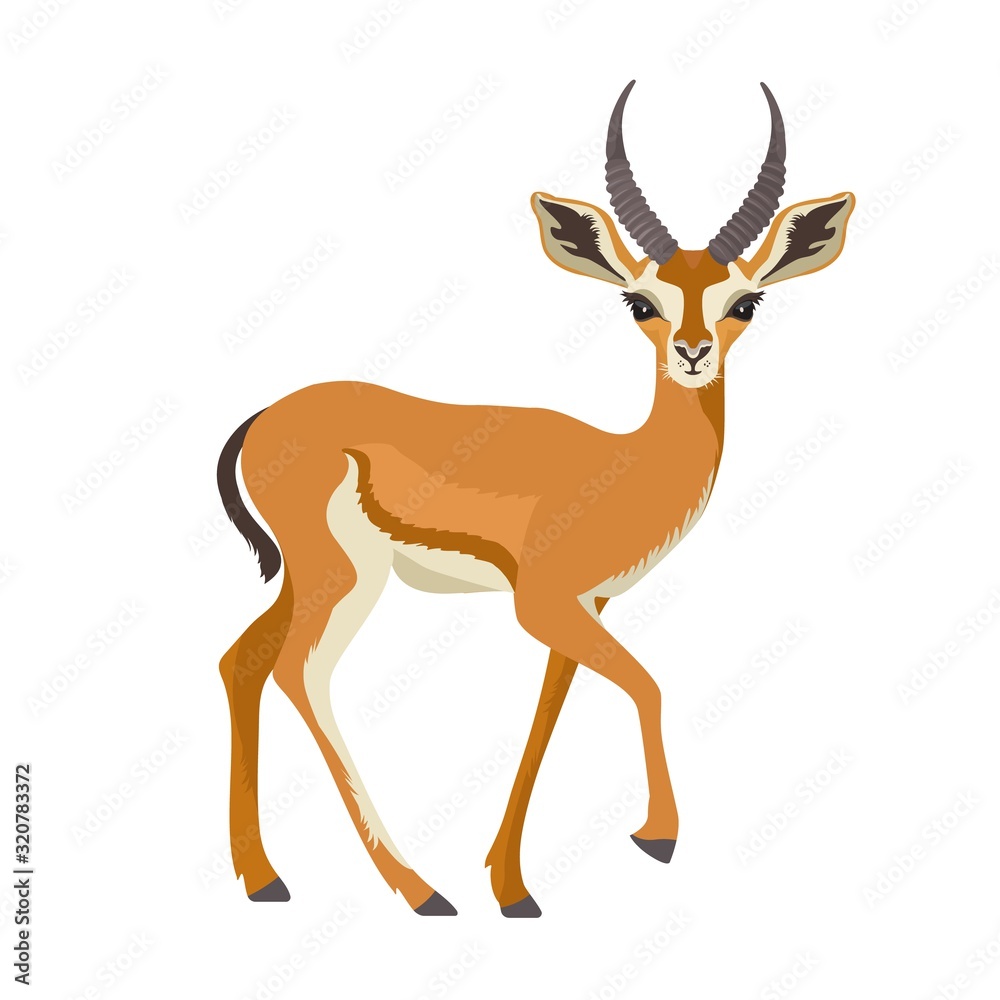 Fototapeta premium Gazelle or antelope with horn. African mammal animal in wildlife. Vector