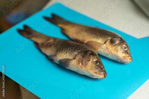 big carp fish on the table on blue background