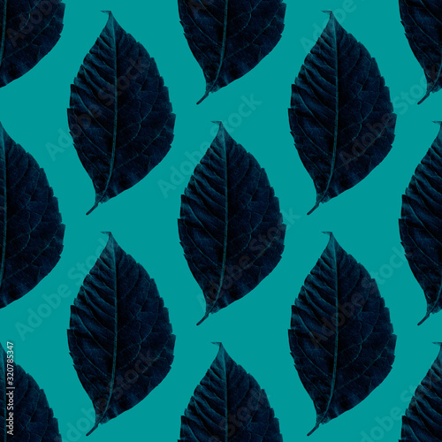 Pressed leaves pattern on turquoise background