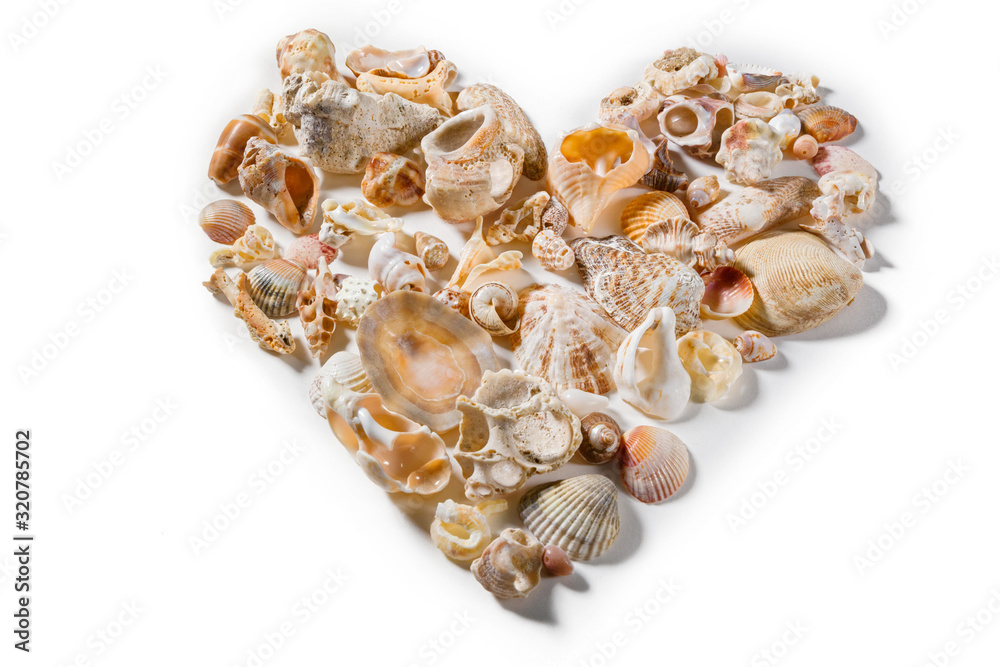 Heart-shaped composition, composed of various and deverse sea shells, on a white plane.
