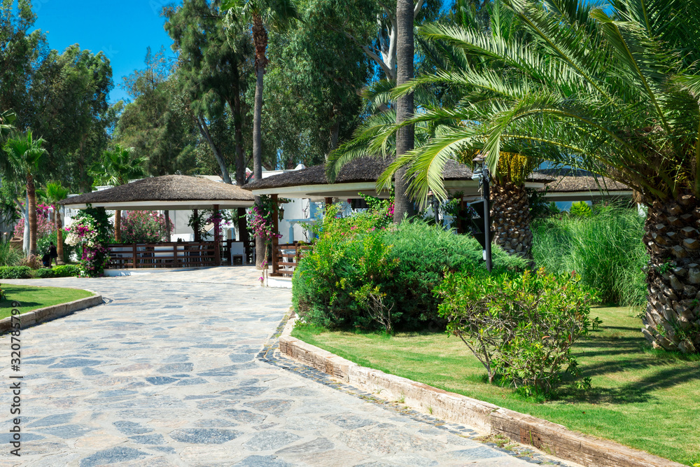 landscape garden hotel resorts Turkey beautiful tree palm