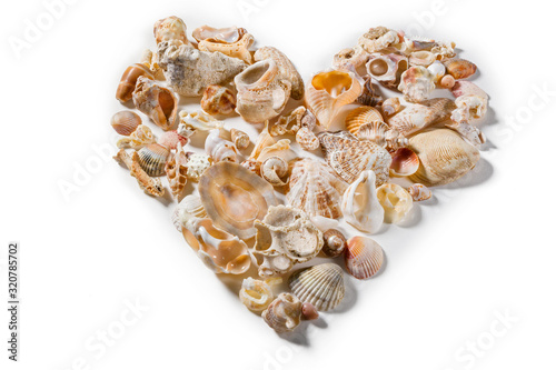 Heart-shaped composition, composed of various and deverse sea shells, on a white plane.