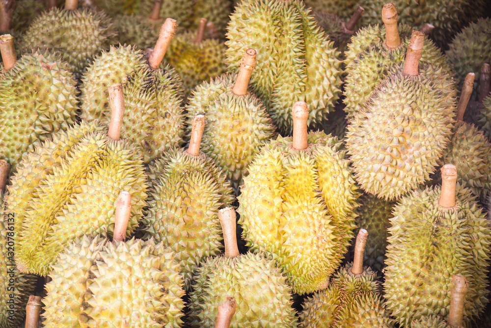 Durian fruit on texture background for sale in the tropical fruit market Durian fruit on texture background for sale in the tropical fruit market