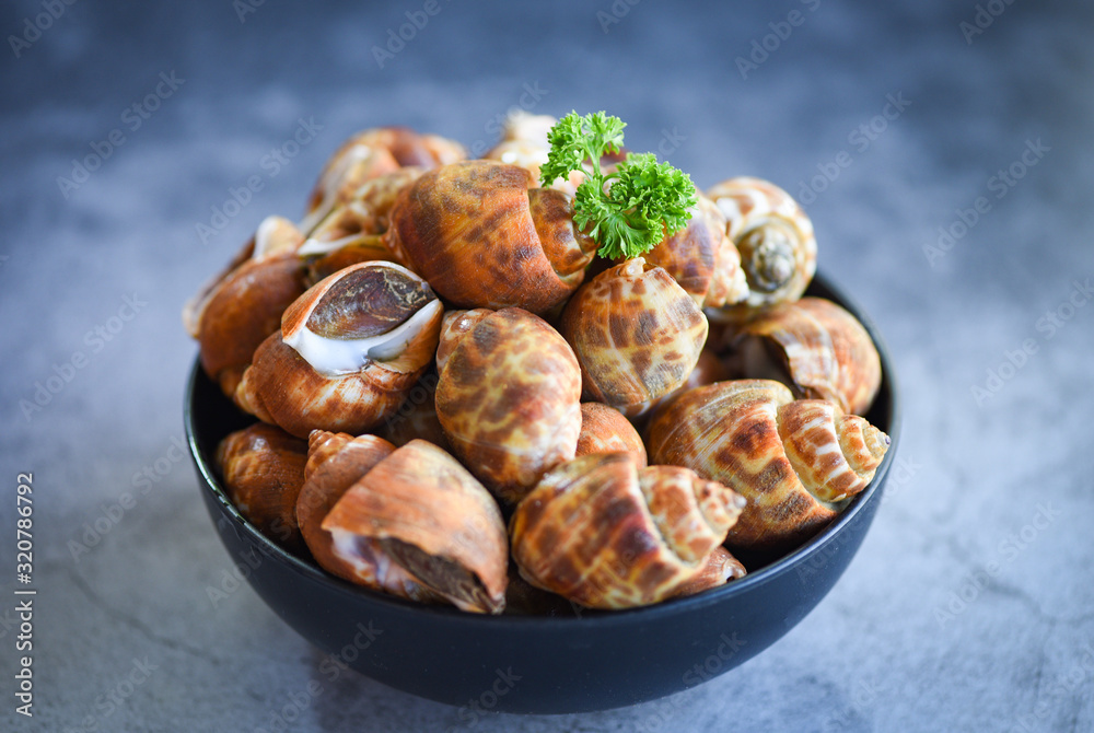 Babylonia areolata shellfish seafood on bowl ready for eat or cooked - Spotted babylon Sea shell limpet Babylonia areolata shellfish seafood on bowl ready for eat or cooked - Spotted babylon Sea shell limpet