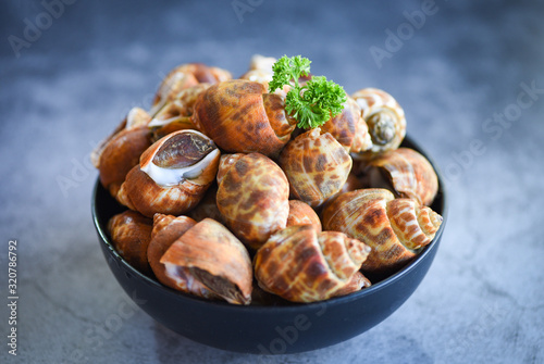 Foto Babylonia areolata shellfish seafood on bowl ready for eat or cooked - Spotted b