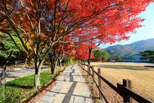 Foto De 아름다운 한국의 가을 단풍 Do Stock | Adobe Stock