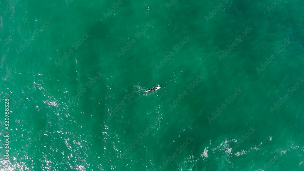 Surfer on a Board rowing to the line, preparing to catch a wave, aerial view