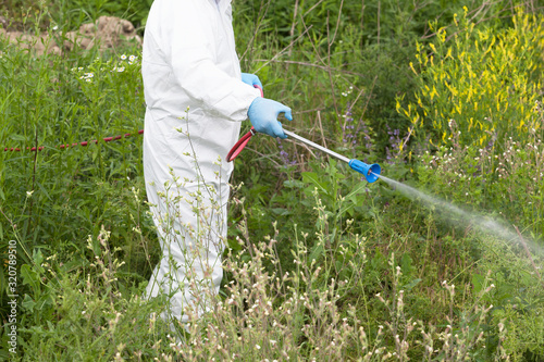 Worker in protective workwear spraying herbicide on ragweed. Hay fever concept.