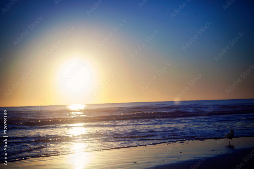 Fototapeta premium sunrise over the sea