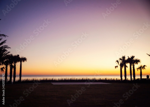 silhouette of palm trees on the beach at sunrise