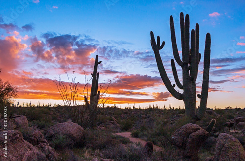 Silhouette Of Large Saguaro Cactus At Sunrise © Ray Redstone