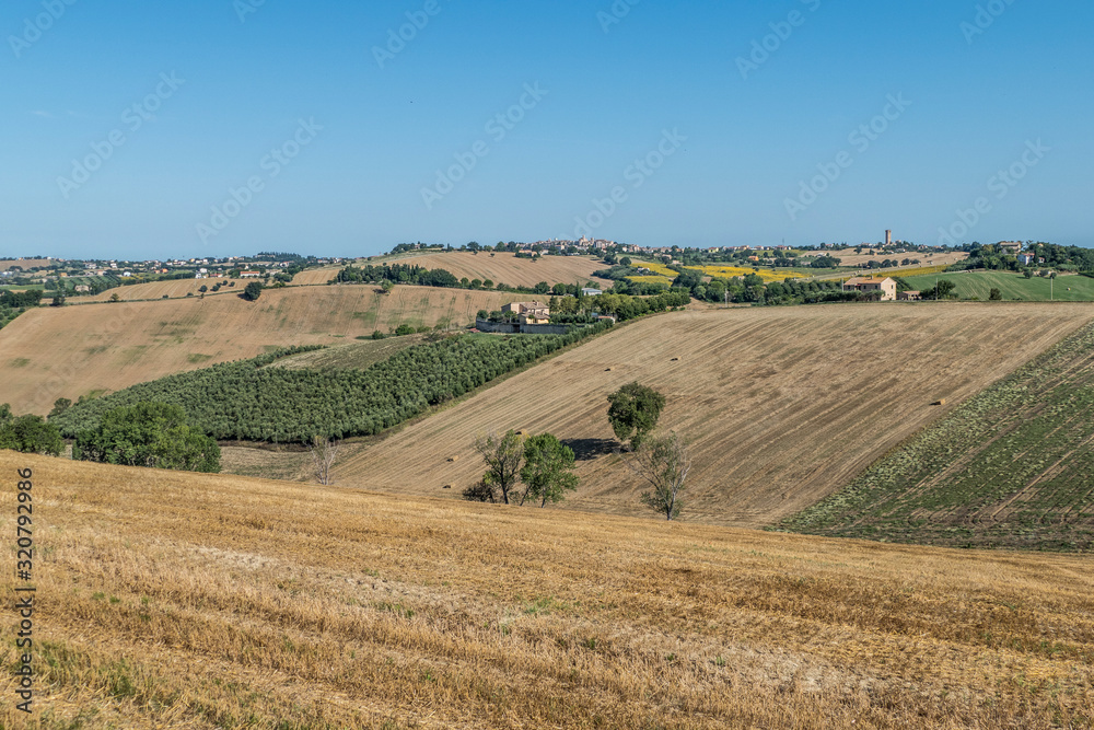 hills in the Marche hinterland