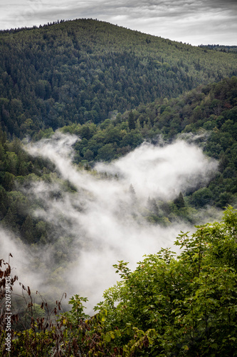 Steam from woods