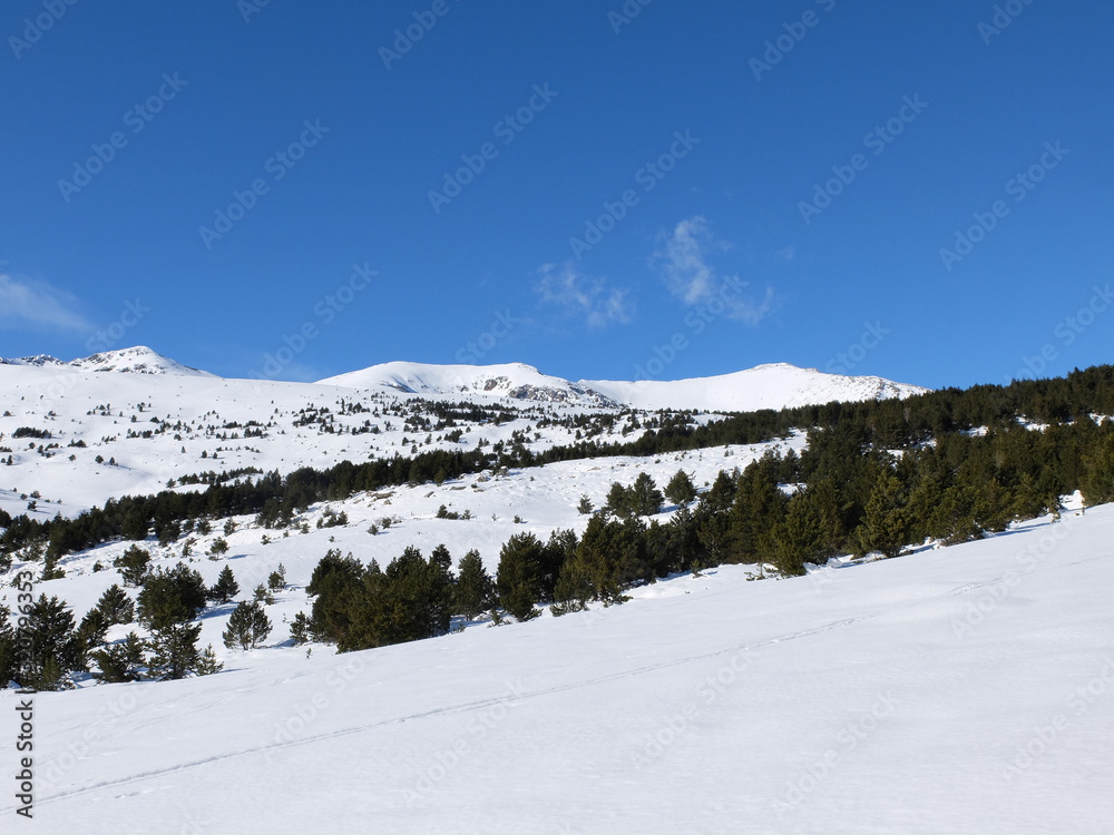Pyrénées dans la neige en montagne sous le soleil des Pyrénées Orientales de Cerdagne