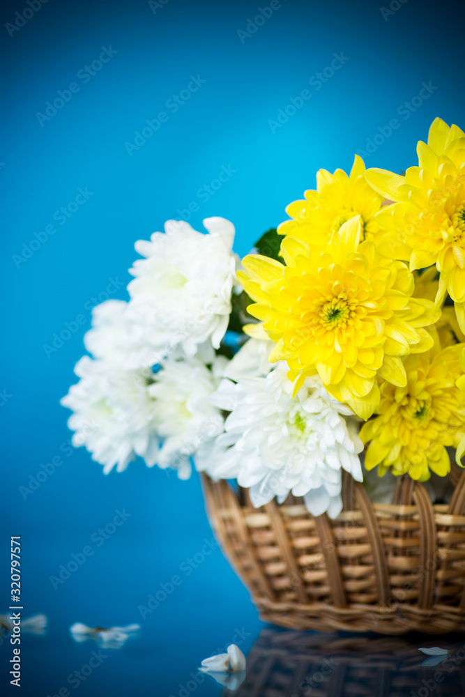 bouquet of white chrysanthemums with a greeting card for mom