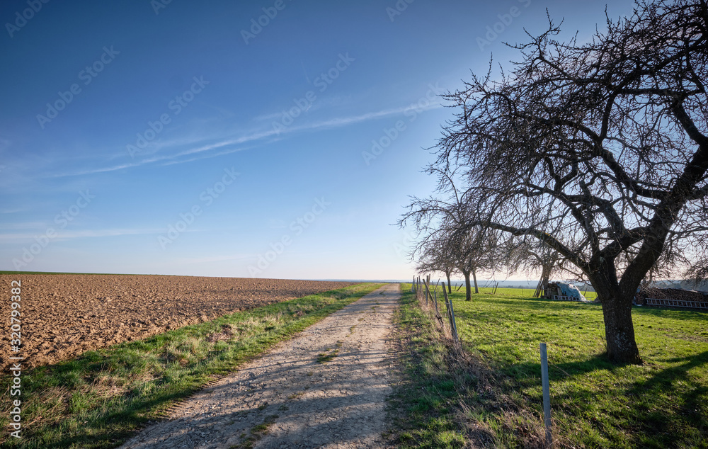 Diminishing old and decaying gravel road leading to the horizon on a beautiful springtime day in the countryside. Seen near Tauchersreuth, Germany, March 2019