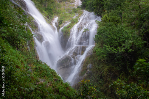 waterfall in forest