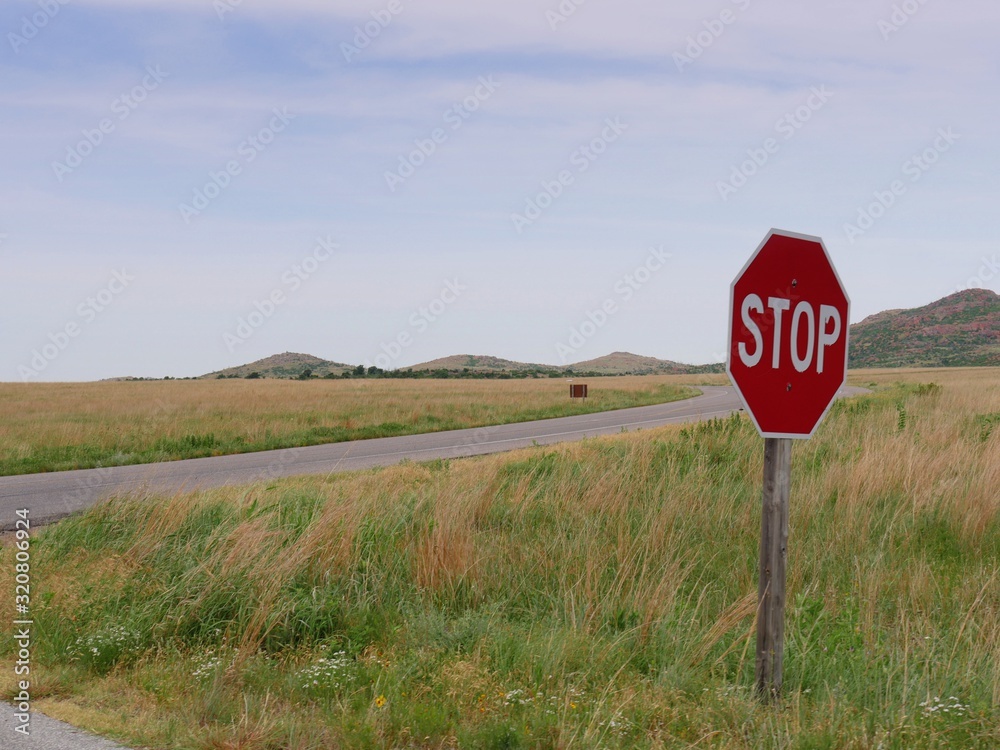 Stop sign in a meadow right by a road intersection Stop sign in a meadow right by a road intersection