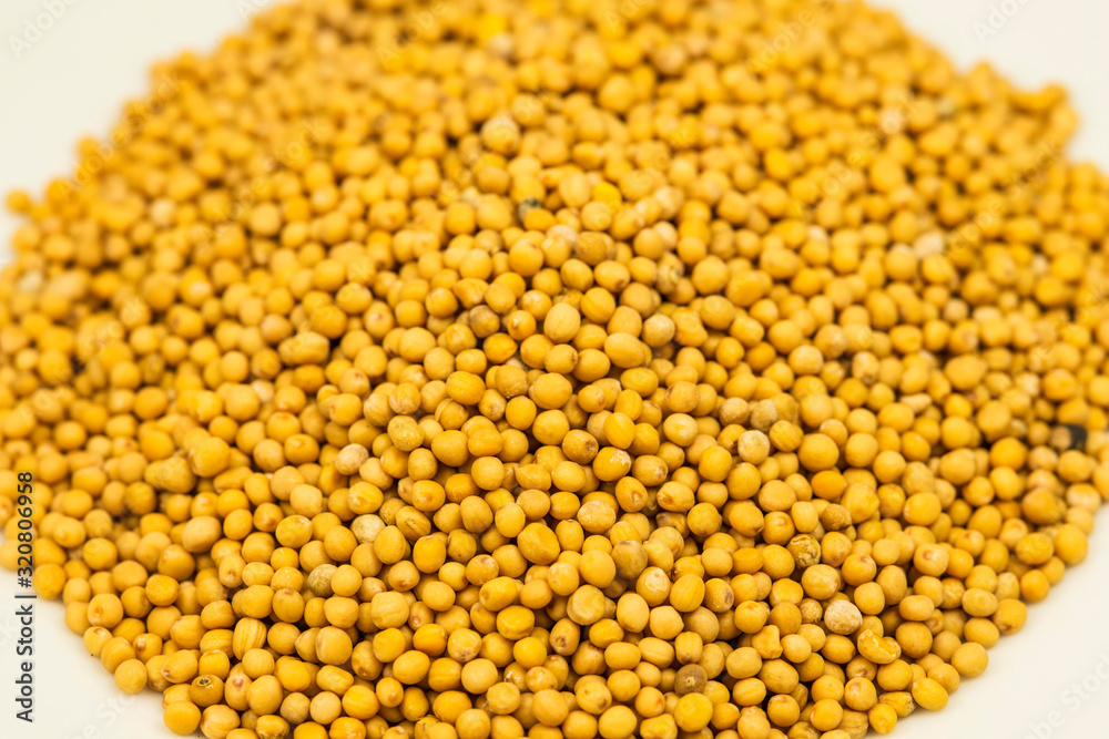 mustard seeds in a macro