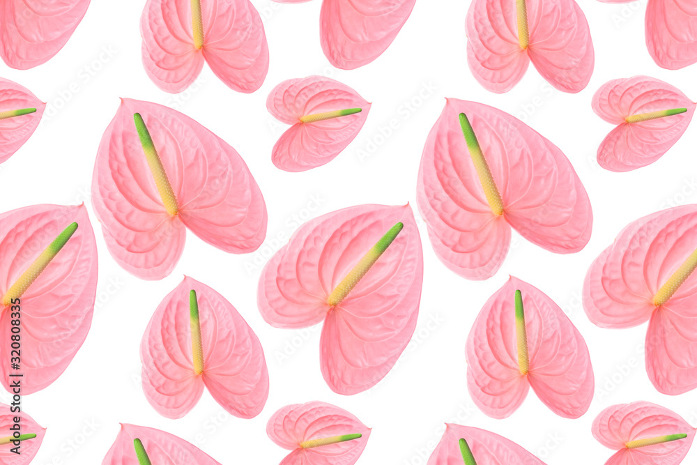 Pattern of a pink flower of different sizes on a white background.