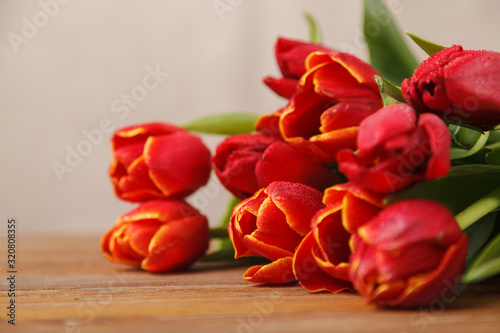 Flowers of spring tulips in dew, on a wooden table. Red tulips on a beige background. Spring greeting card