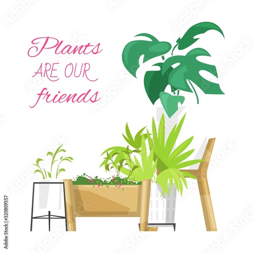 Green home plants vector poster illustration. Plants, cactus, monstera succulents for home garden and decoration. Plants are our friends quote. Green home plants isolated on white.