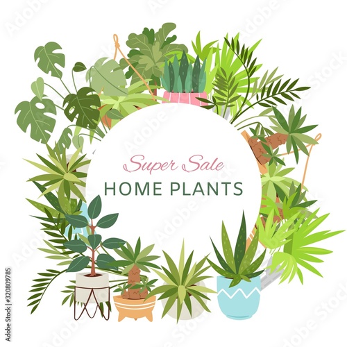 Home plants in circle wreath sale poster vector illustration. Houseplants, indoor and office plants in pot. Dracaena, fern, bamboo, spathyfyllium and orchids, aloe vera with gerbera, snakeplant. photo