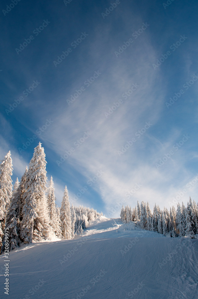 Winter scenery in Postavaru Massif