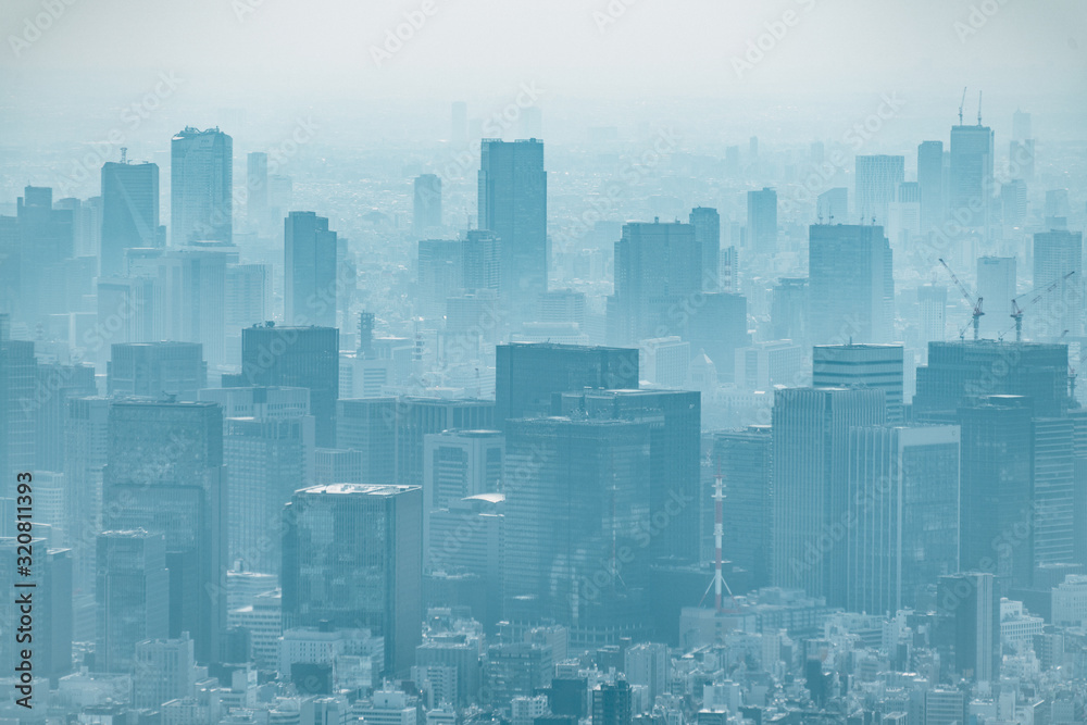 dust during daytime in a very polluted city in this case Tokyo, Japan