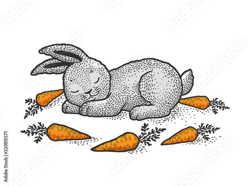 Cartoon sleeping bunny rabbit sketch engraving vector illustration. T-shirt apparel print design. Scratch board imitation. Black and white hand drawn image.