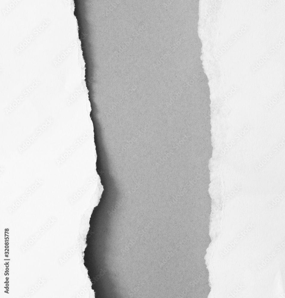pieces of torn paper texture background, copy space. pieces of torn paper texture background, copy space.