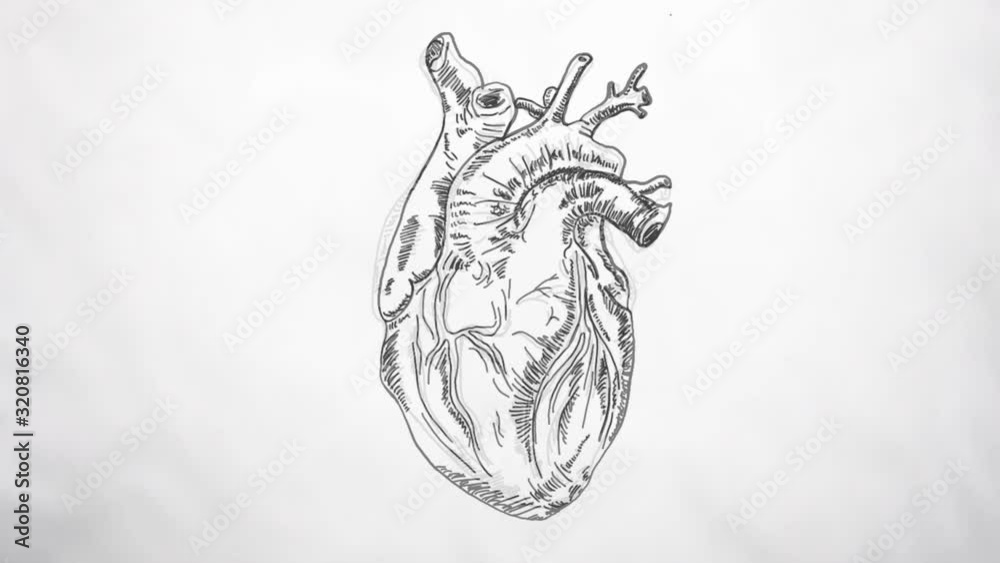 heart animation cartoon