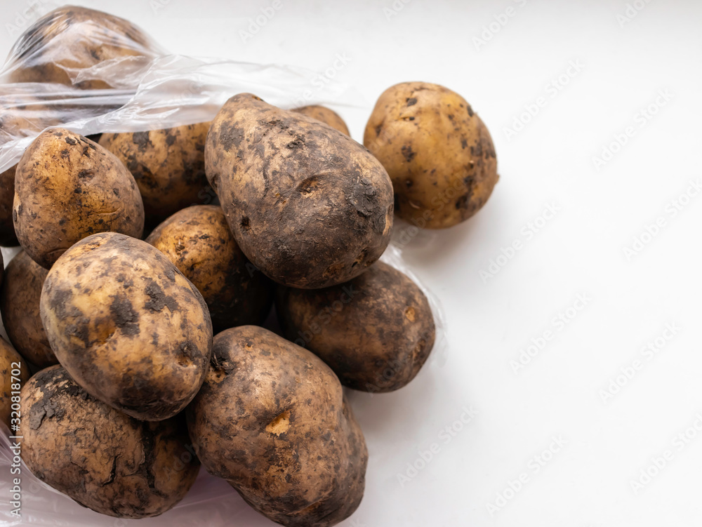 Dirty unwashed potatoes in a plastic bag. Lots of potatoes. Fresh potato with ground on the rind. dirty raw potatoes in large quantities, not washed. With place for your text, lettering. Dirty unwashed potatoes in a plastic bag. Lots of potatoes. Fresh potato with ground on the rind. dirty raw potatoes in large quantities, not washed. With place for your text, lettering.