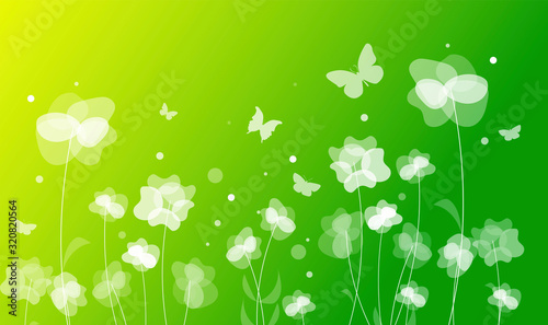 fiori, piante, primavera	, erbe