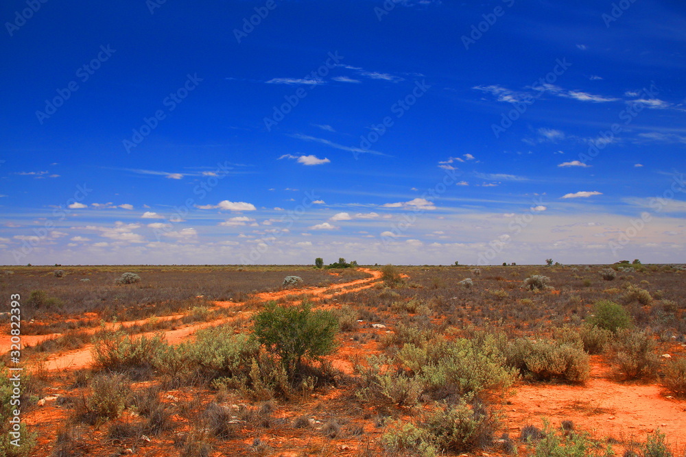 Dirt tracks across the Australian desert