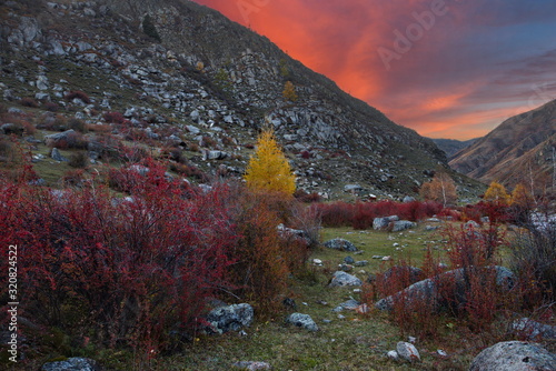 Russia. South Of Western Siberia, Altai Mountains. Autumn evening on the Bank of the Bolshoy Ilgumen river. photo