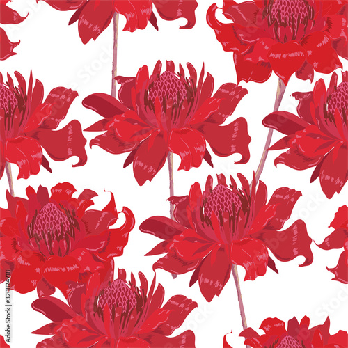 Big red torch ginger seamless pattern in vector EPS10 ,Design for fashion,fabric,wallpaper,wrapping,web, and all prints