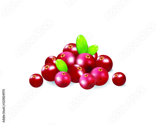 Berries realistic 3d vector icon isolated on white background. For juice, pudding, smoothie, sauces ads.Vector  illustration.